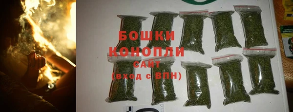 ECSTASY Гусев