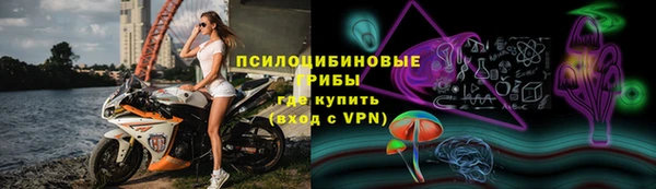 круглые Гусь-Хрустальный