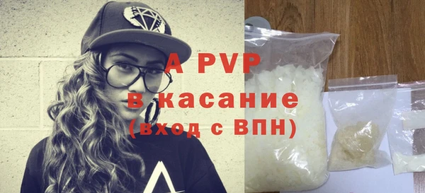 ECSTASY Гусев