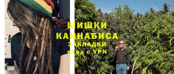 дживик Дмитровск
